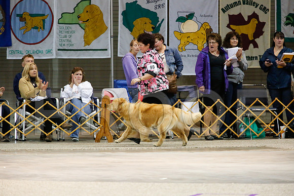 BestVet-7174-WFOct2013-HR