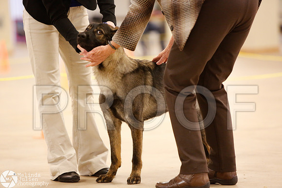 GSD-9794-Waco14-HR