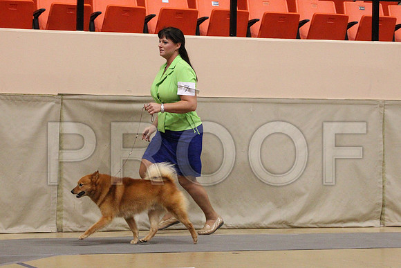 MJS_5552