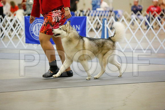 _JJ_7015-AmarilloSept2014-HR3