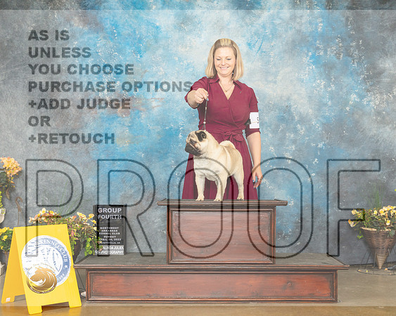 Pug #8 Sun G4 Judge Ray Filburn-MMJ_1955-NWARK2022-HR3