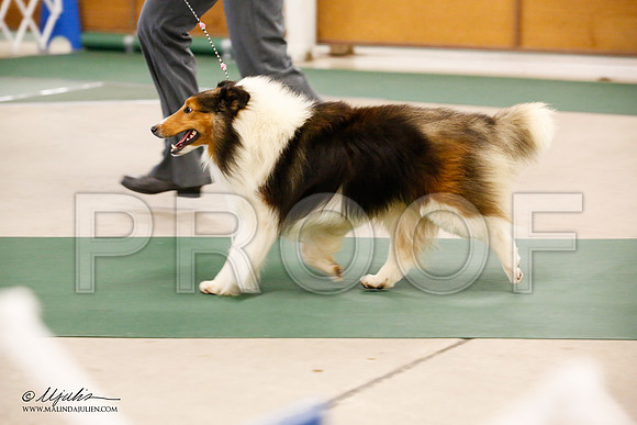 _JN_0014-NrmnNov2014-HR3