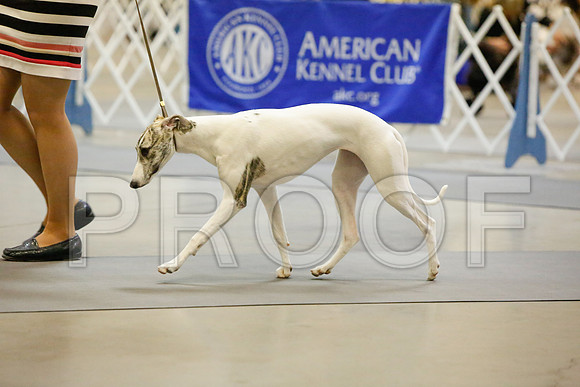 _JJ_3225-AmarilloSept2014-HR3