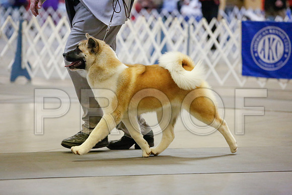 _JJ_6961-AmarilloSept2014-HR3