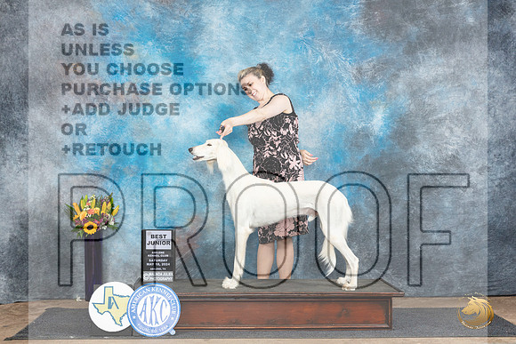 Saluki #600 Sat BJr Judge Judy Wade__JP_9788_Abilene_2024_HR3
