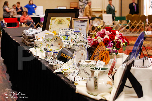 _JJ_8392-HstnCorgiFeb2015-HR3