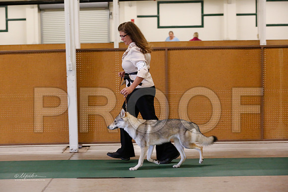 ChWd-9513-NormNov13-HR