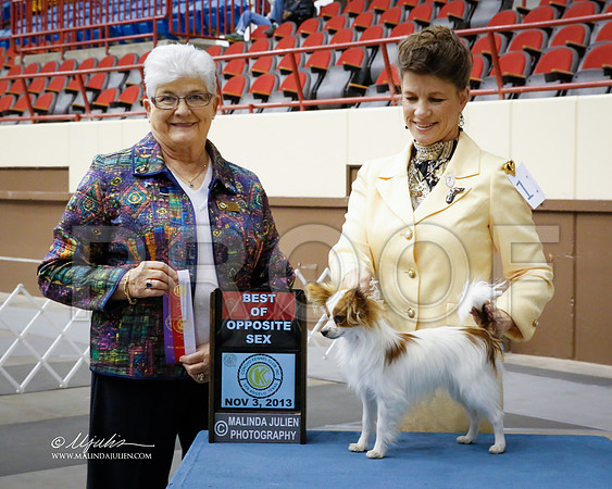 Pap-2528-SANov13-HR