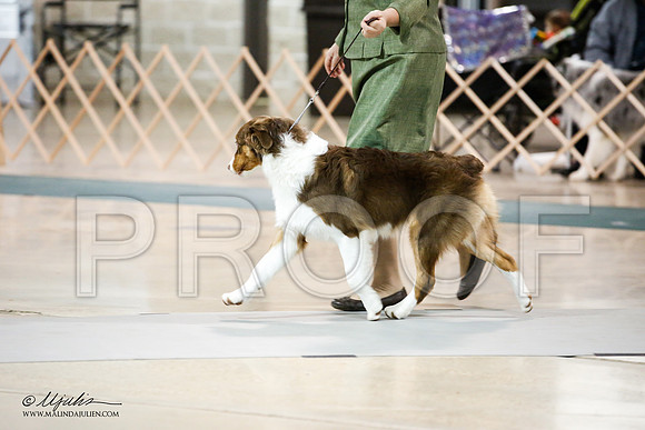 _JJ_0766-ASCACollegeStationNov2014-HR3