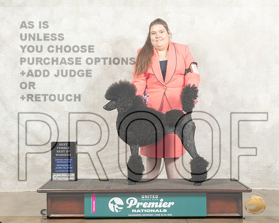 Poodle Std #471 Wed BOW Judge Sharon Griffin_MMJ_6933_Premier_2022_HR3