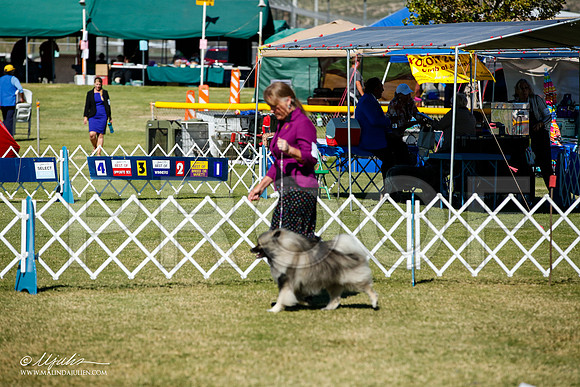 _JJ_1588-AlamogordoOct2014-HR3