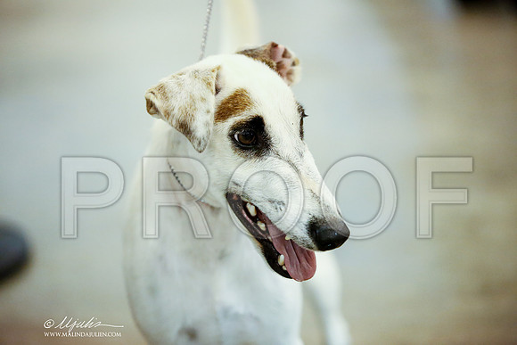 _JJ_6713-DalJul2014-HR3