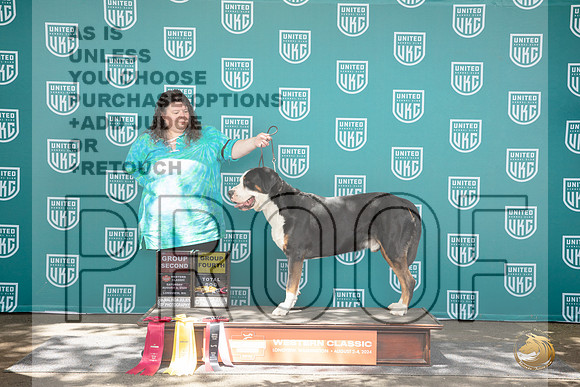 Greater Swiss Mountian Dog #242 Fri G4 TD Sat G2 No judge__JP_1873_Longview WA_2024_HR3
