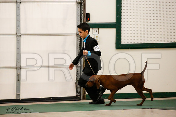 _JN_8583-NrmnNov2014-HR3