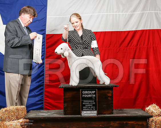 _ST_2081-2-AmarilloSep2014-HR3