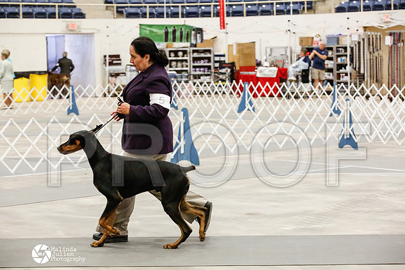 _HR_1738-AblnMay2014-web