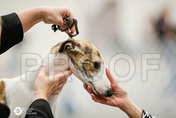 _RH_1862-AblnMay2014-web