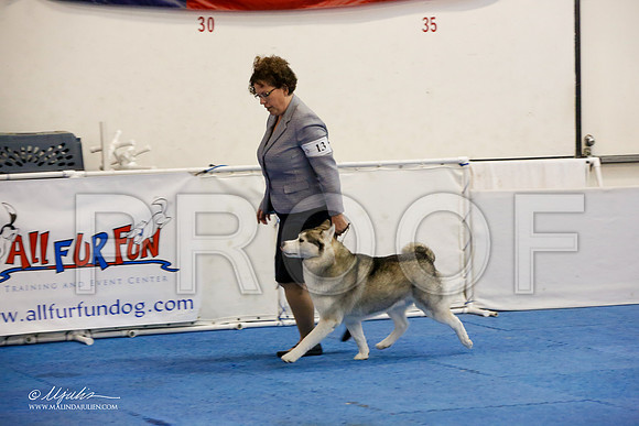 _M3_1278-AddisonHuskyMar2015-HR3