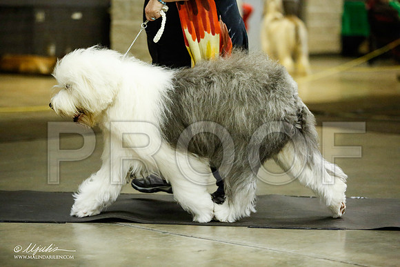 _JJ_6196-BeltonJan2015IABCA-HR3