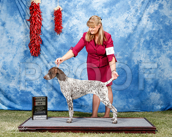 _ST_3673-2-AlamogordoOct2014-HR3