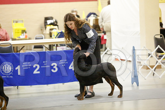 _JN_6691-AmarilloSept2014-HR3