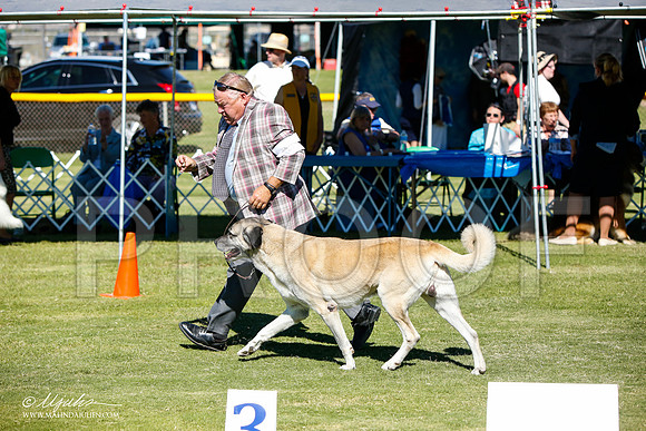 _JJ_5847-AlamogordoOct2014-HR3