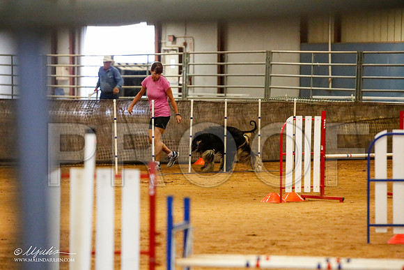 _MJ_2715-AfgBeltonOct2014-HR3