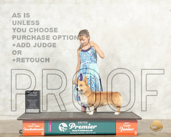Pembroke Welsh Corgi #821 Thur Top10JrF Judge Ron Sacca__MJ_7443_Premier_2022_HR3