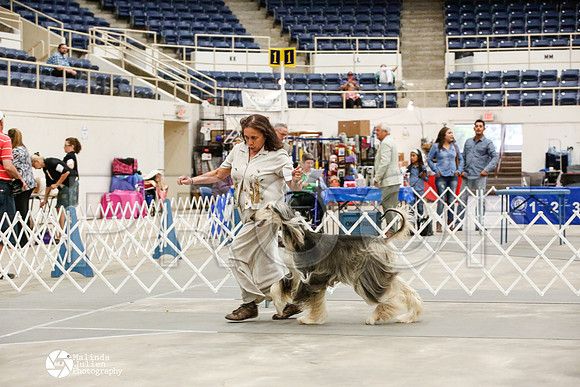 _JJ_0003-AblnMay2014-web