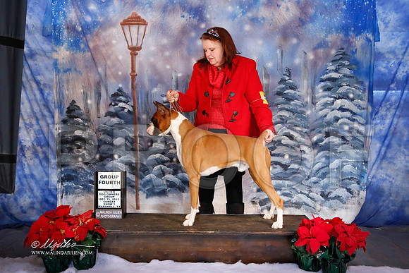 boxer-6401-MrshlDec13-HR