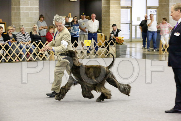 _JJ_0685-AfgBeltonOct2014-HR3