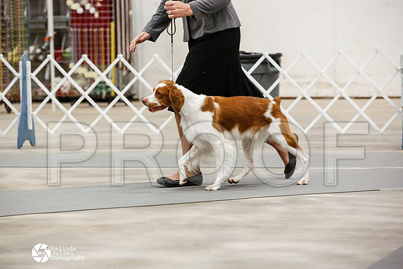 _JN_0148-AblnMay2014-web