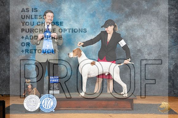 Pointer #5 Sat G1 Judge Jim Fehring__JP_8021_MARSHALL_2024_HR3