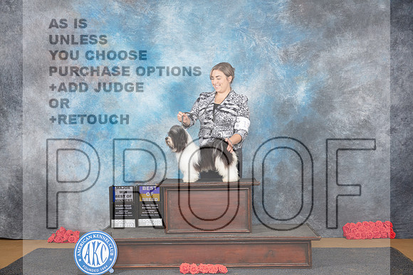 Havanese #11 Sat BOBBOW Judge Helen Tomb-Taylor__JP_0213_Sulphur Springs_2024_HR3