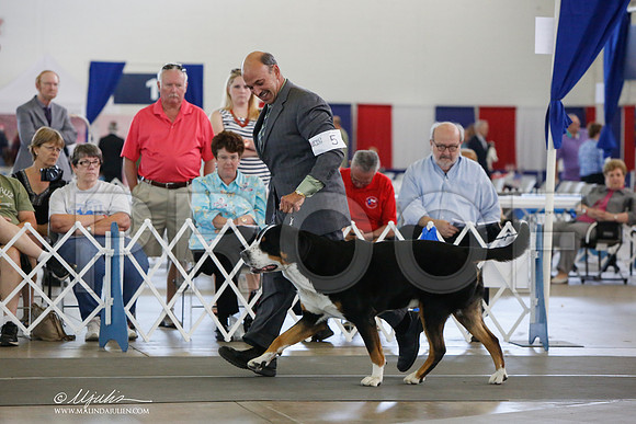 _JJ_1685-DallasJul2014-HR3