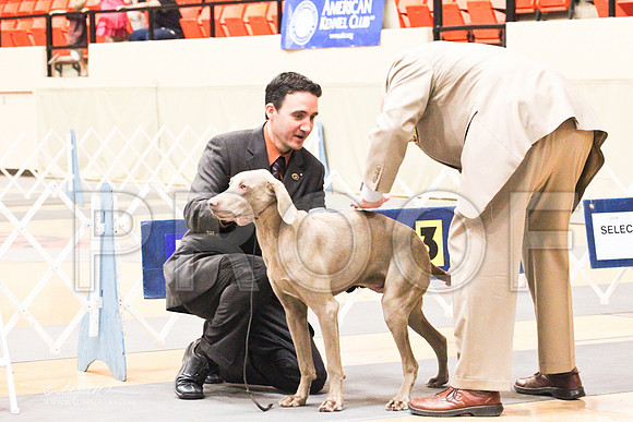 Weim-4212LR