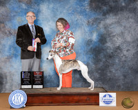 Donna Bennett Glen Rose 2025
