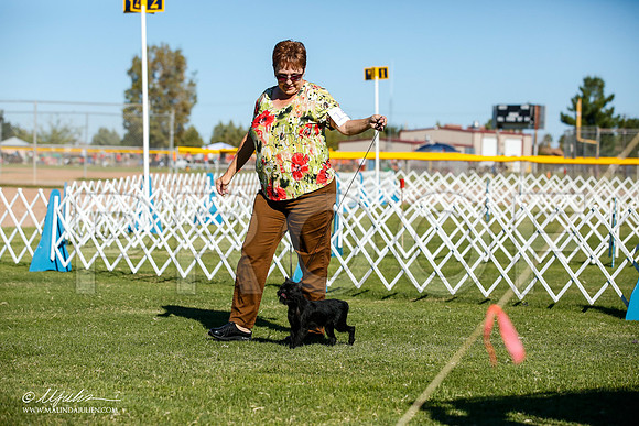 _JJ_6667-AlamogordoOct2014-HR3