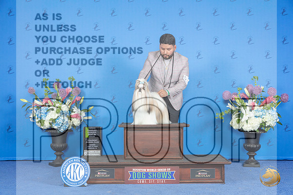 Shi Tzu #5 SUN OHRBIS Judge __JP_0974_Houston_2024_HR3