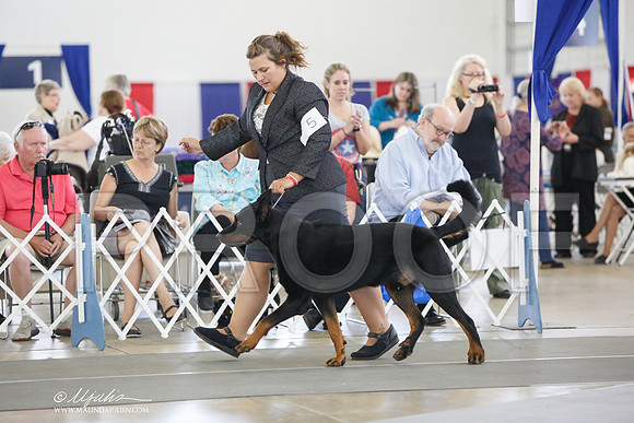 _JJ_3016-DallasJul2014-HR3