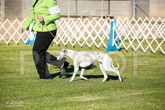 _JN_5472-AlamogordoOct2014-HR3