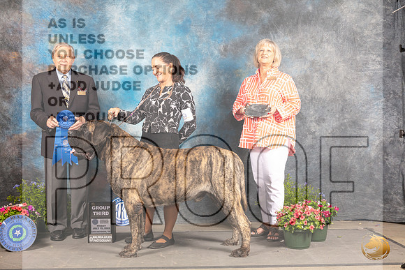 Mastiff #9 Fri G1 Judge David Bolus_MJ_0118_SA_2022_HR3