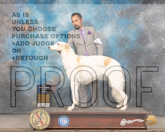 Borzoi #24 Sun WB Judge Gary AndersenMMJ_5131_Mdlnd2022_HR3