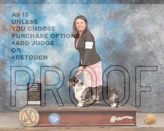 Cardigan Welsch Corgi #14 Fri OHG4 Judge Barbara AldermanMMJ_3457_Mdlnd2022_HR3