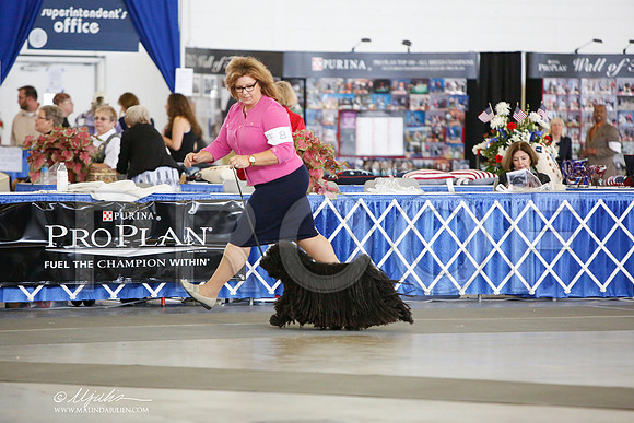 _JJ_3176-DallasJul2014-HR3
