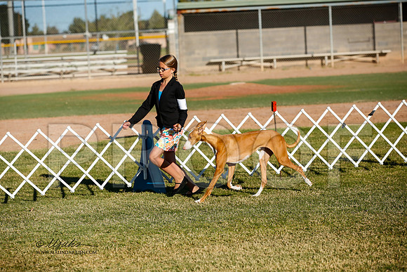 _JJ_2051-AlamogordoOct2014-HR3