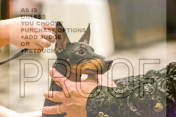 Manchester Terrier MTOY Candids-JJL_2377-Hstn2022_HR3