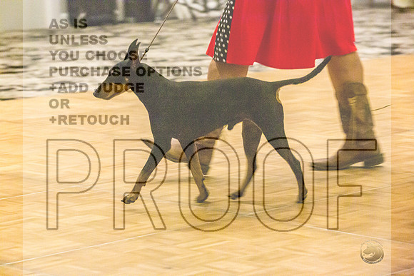 Manchester Terrier MTOY Candids-JJL_2227-Hstn2022_HR3