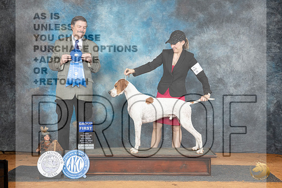 Pointer #5 Sat G1 Judge Jim Fehring__JP_8024_MARSHALL_2024_HR3
