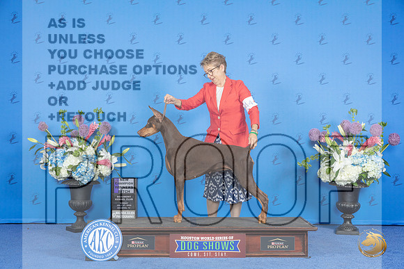 Doberman #44 SUN WB Judge Annella Cooper__JP_0051_Houston_2024_HR3